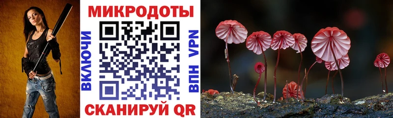 Псилоцибиновые грибы GOLDEN TEACHER  Нерехта 