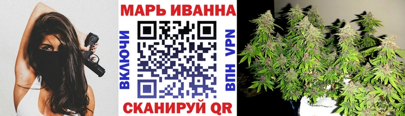Конопля гибрид  Нерехта 